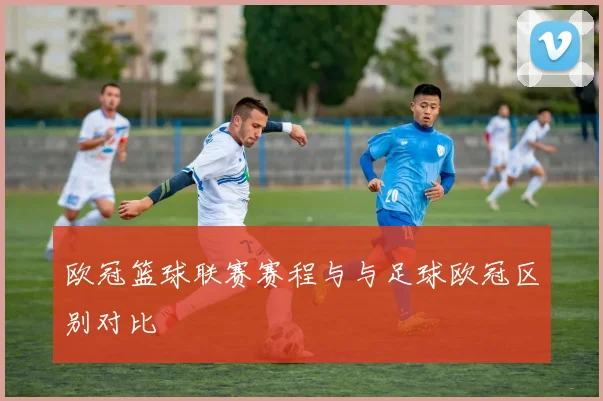 欧冠篮球联赛赛程与与足球欧冠区别对比