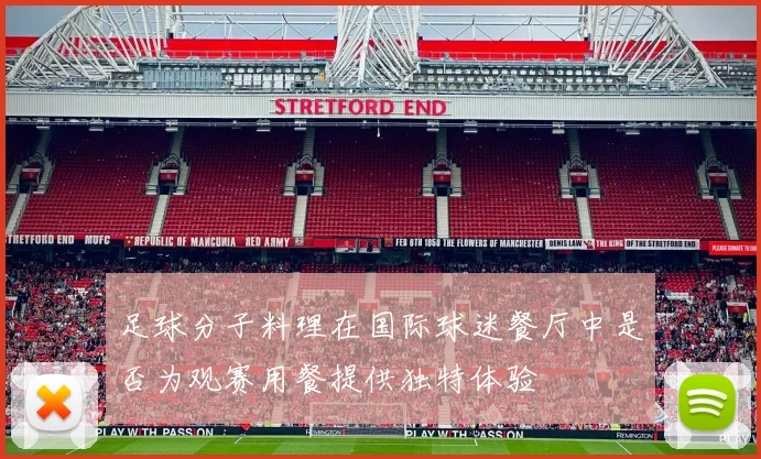 足球分子料理在国际球迷餐厅中是否为观赛用餐提供独特体验