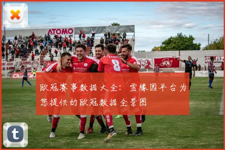 欧冠赛事数据大全：雪缘园平台为您提供的欧冠数据全景图